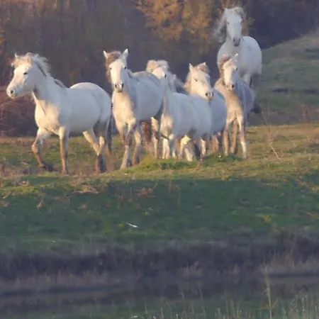 Guido Reni Apartman Lido di Spina