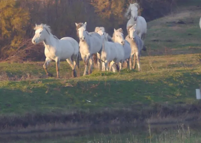 Guido Reni شقة ليدو دي سبينا