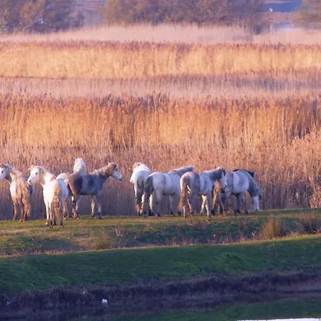 アパート Guido Reni