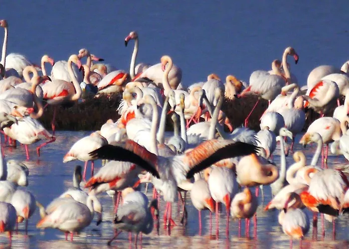Guido Reni * Lido di Spina